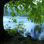 対処療法は心と身体のエネルギーロスを防ぐ「雨宿り」