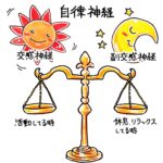 自律神経の仕組み
