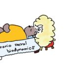 クラニオセイクラルバイオダイナミクス